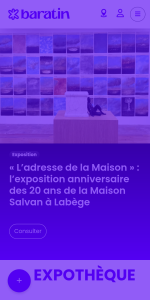 Version mobile du site de Baratin, créé par DGWEB